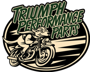 Triumph Motorcycle Spark Plug Wires